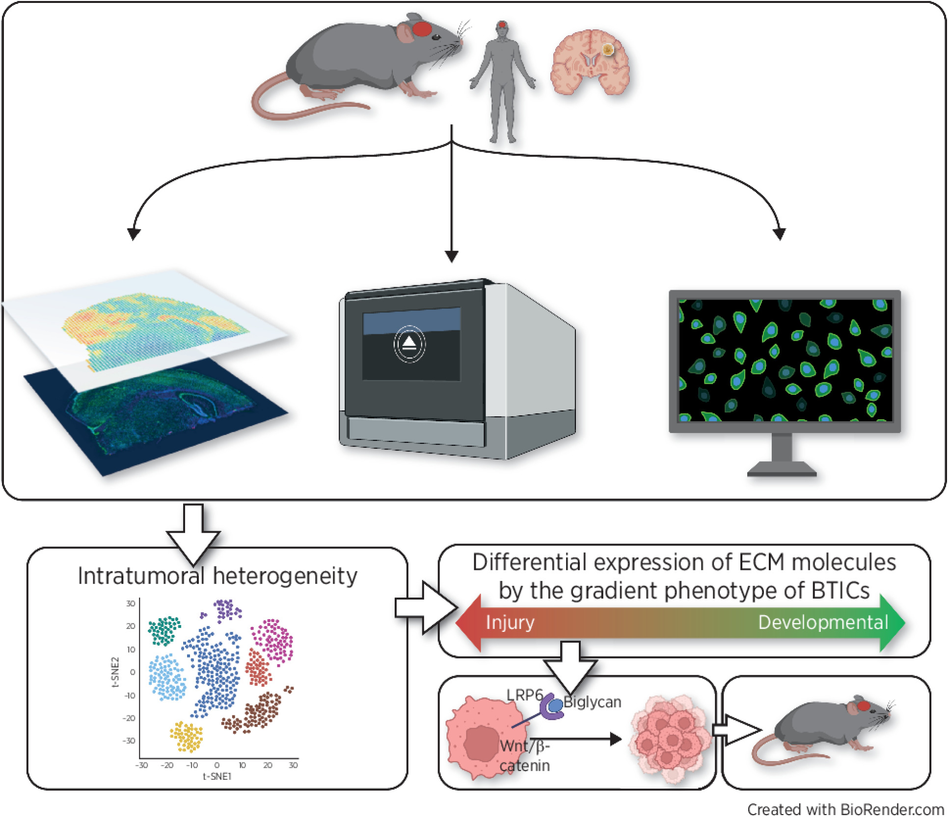 Cancer Research publication
