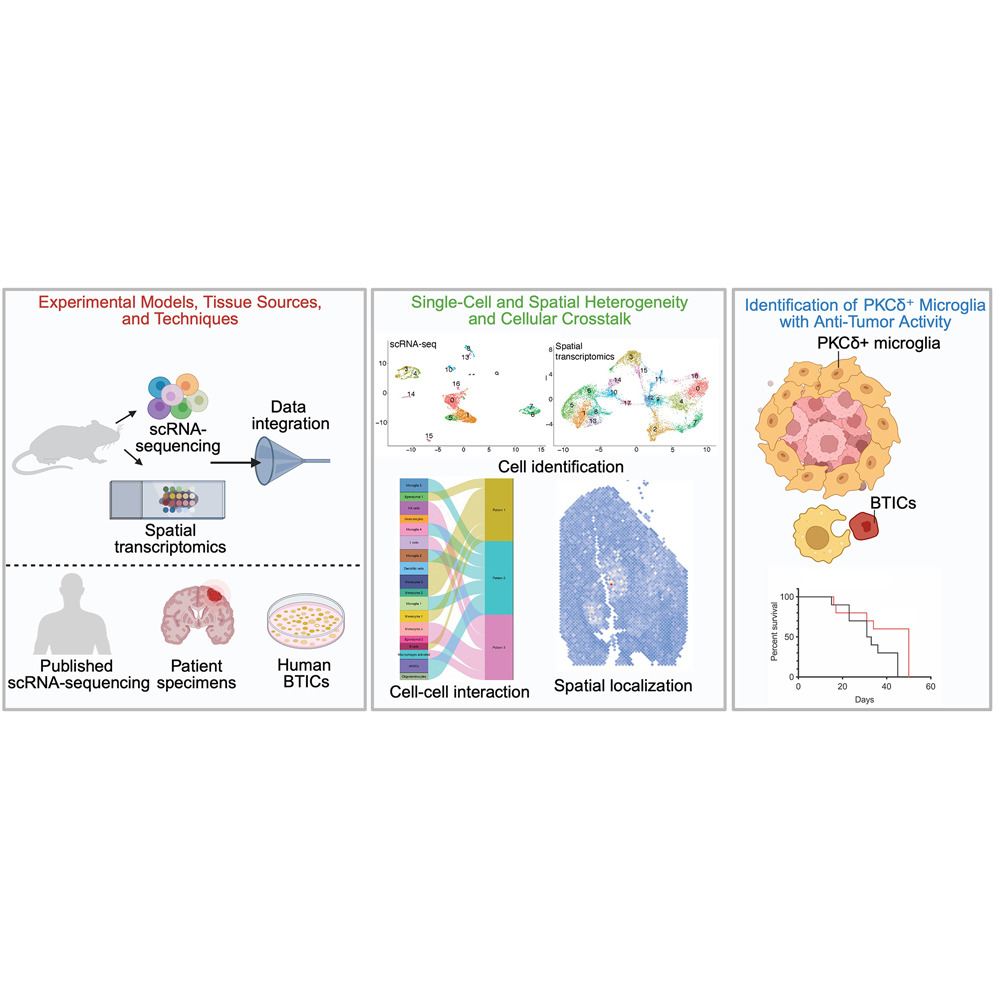 iScience publication