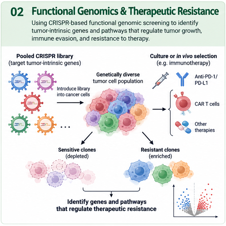 Functional genomics and therapeutic resistance schematic